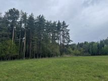 Działka Lipińskie Małe. Zdjęcie 1