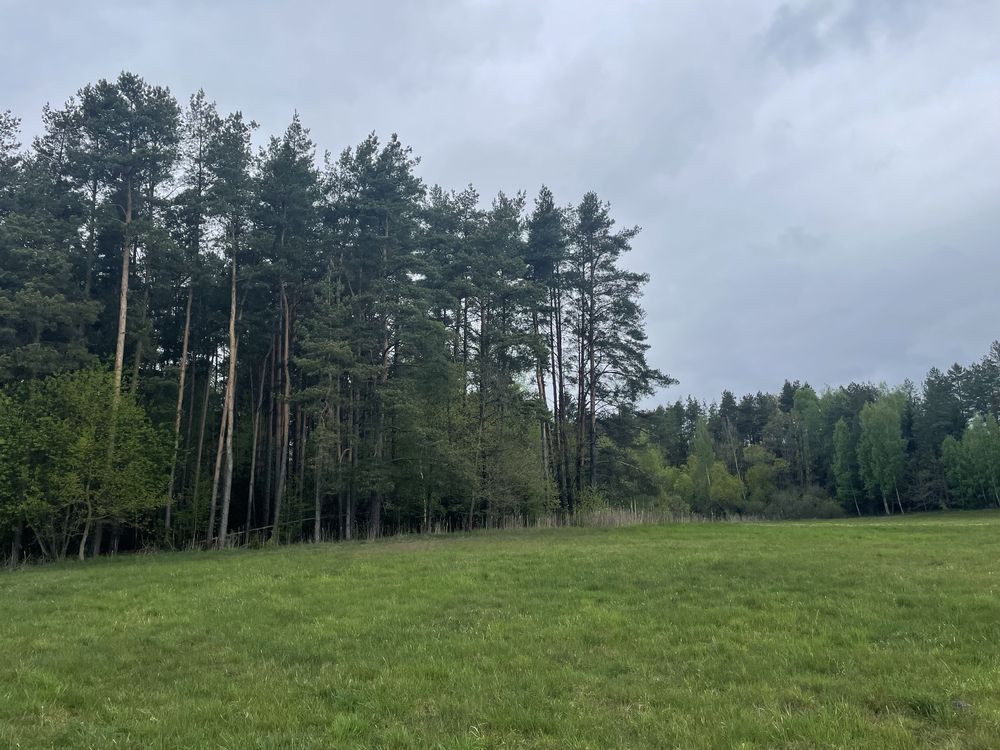 Działka Lipińskie Małe. Zdjęcie 2