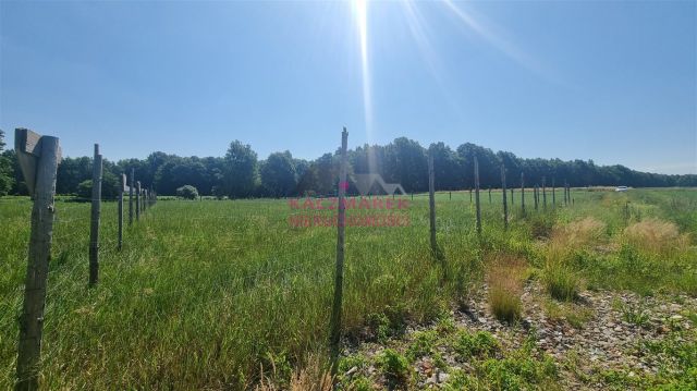 Działka budowlana Ćwiklice, ul. Kombatantów. Zdjęcie 6