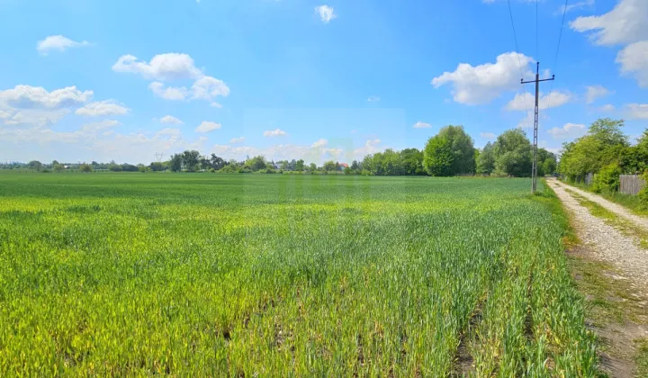 Działka budowlana Bieniewice, ul. Słowicza