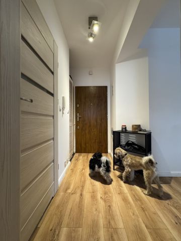 Mieszkanie 2-pokojowe Kraków, ul. Adama Bochenka. Zdjęcie 11