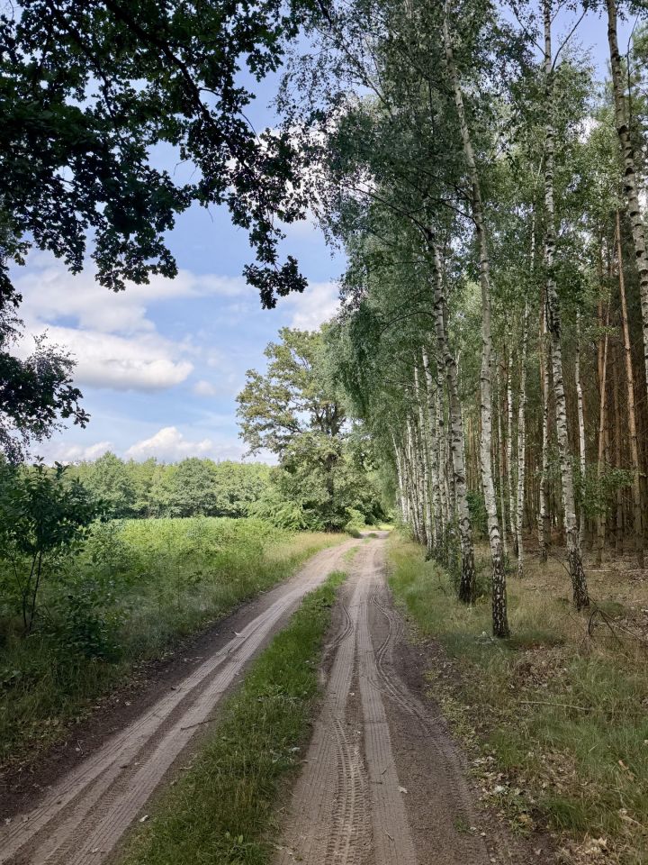 Działka budowlana Czarnybród. Zdjęcie 10