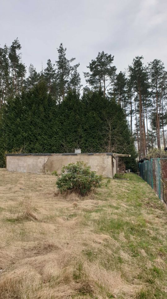 Działka Zofiówka. Zdjęcie 6