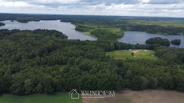 Działka rekreacyjna Krzynia. Zdjęcie 1