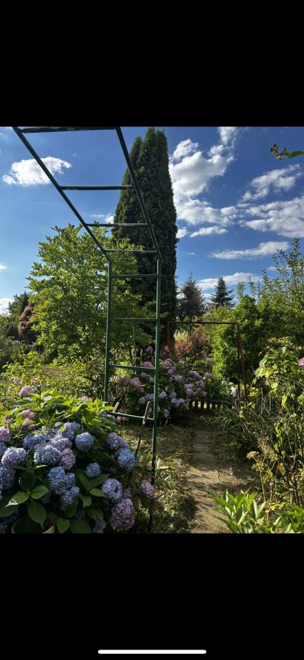 Działka rod Tarnobrzeg Wymysłów. Zdjęcie 6