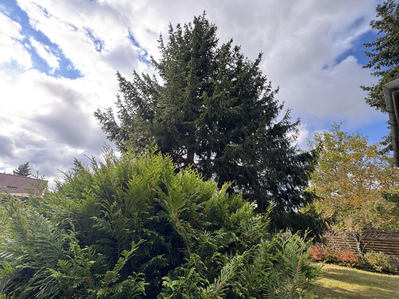 dom wolnostojący, 3 pokoje Magdalenka, ul. Podleśna. Zdjęcie 6