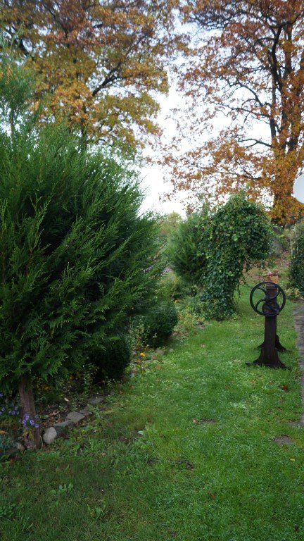 Biuro Niedalino. Zdjęcie 20