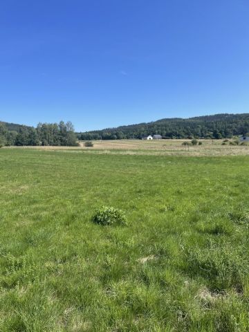 Działka budowlana Sędzisław. Zdjęcie 1