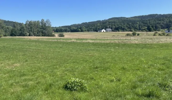 Działka budowlana Sędzisław