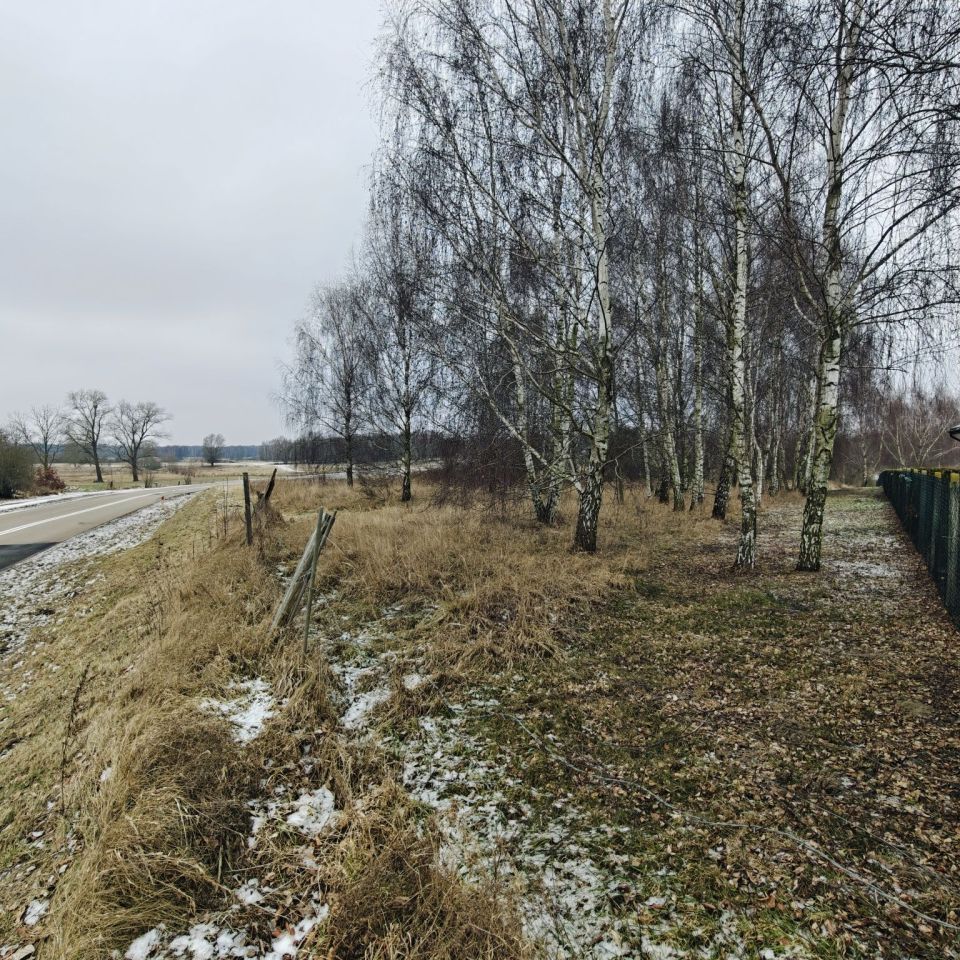 Działka rolno-budowlana Karsk. Zdjęcie 3