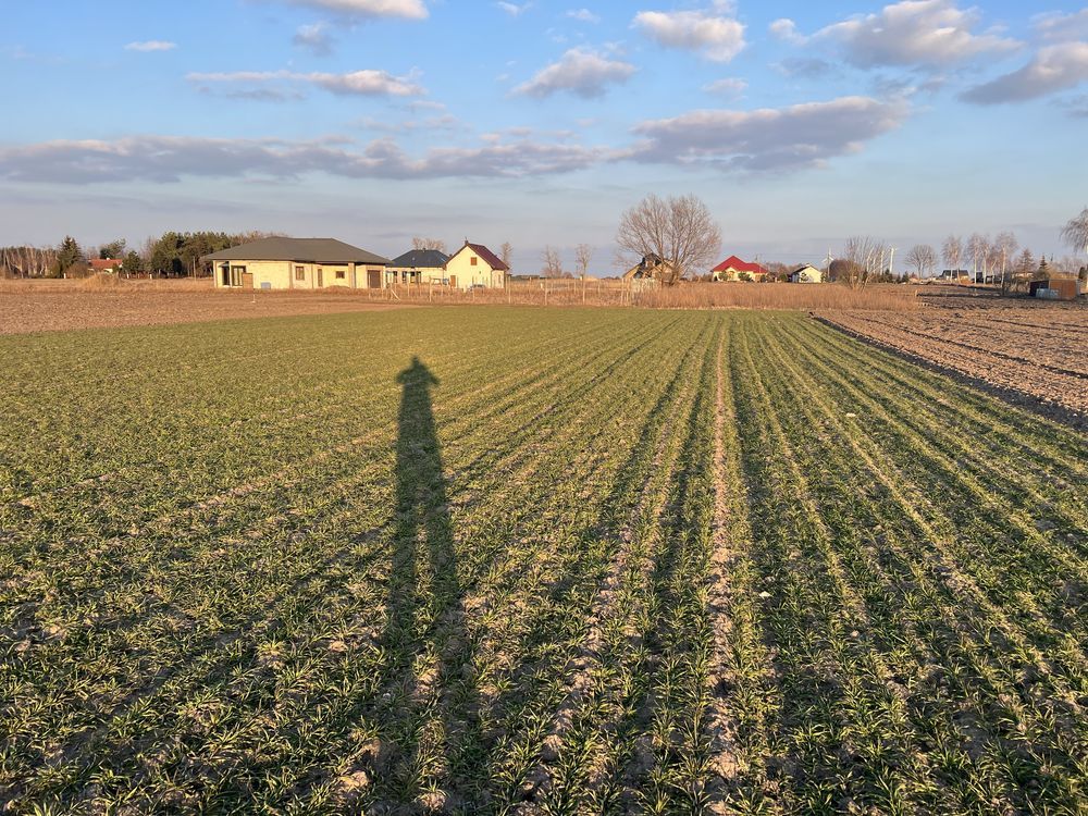 Działka budowlana Probostwo Dolne. Zdjęcie 4