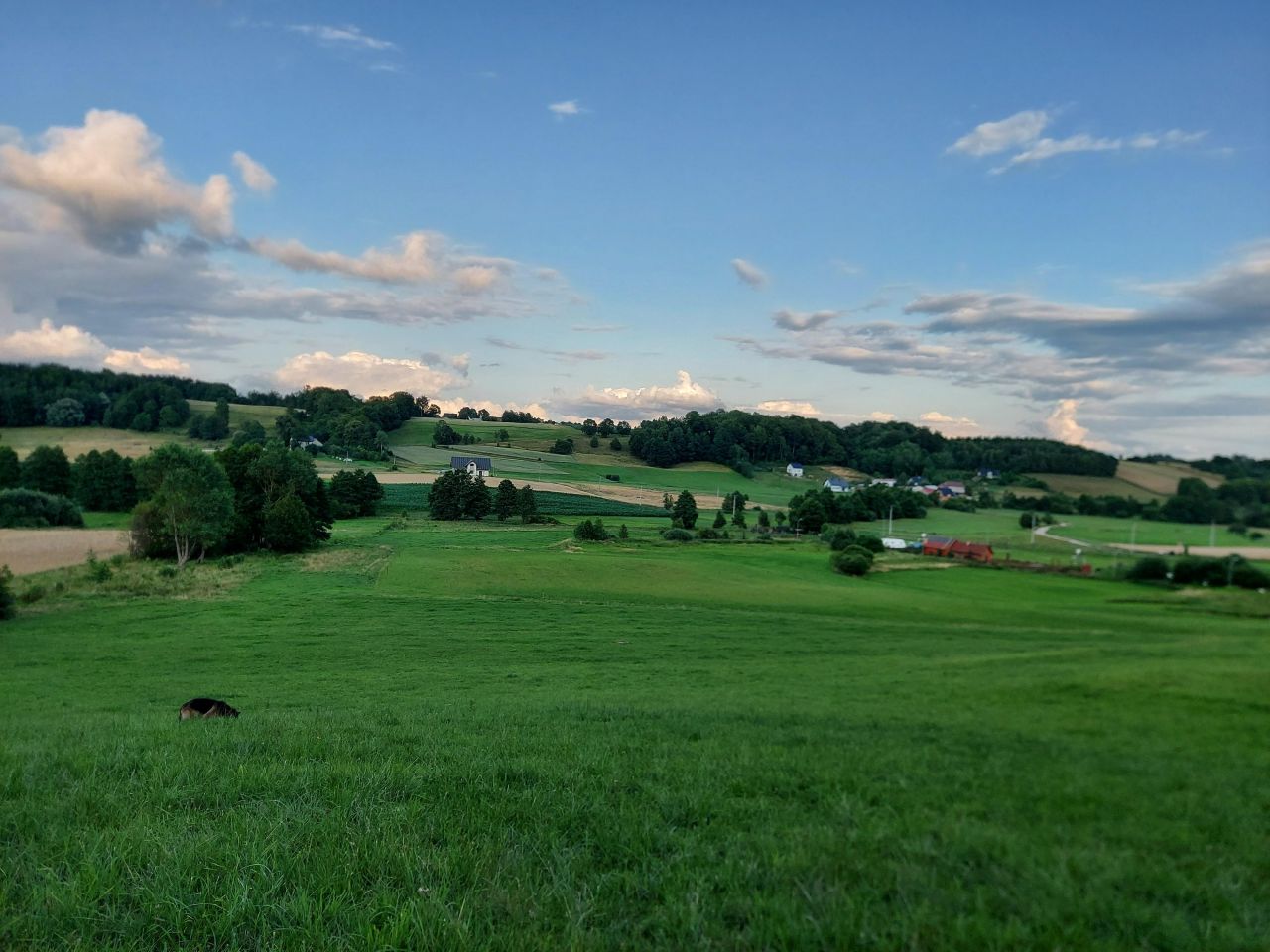 Działka budowlana Staniszewo Kępa, Staniszewo Kępa. Zdjęcie 3