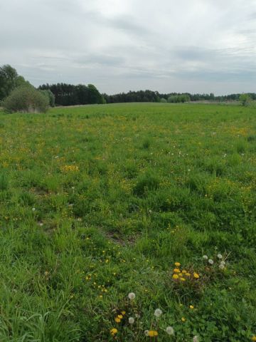 Działka budowlana Nowe Grabie. Zdjęcie 1