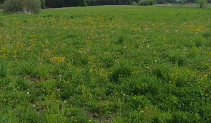 Działka budowlana Nowe Grabie