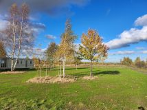 Działka budowlana Orłowice. Zdjęcie 2