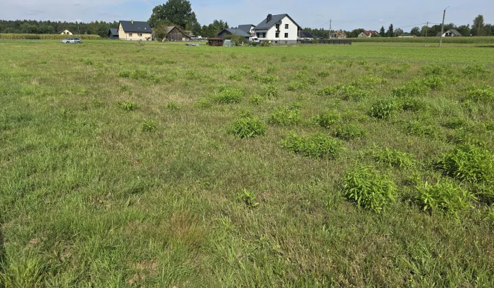 Działka budowlana Frydek, ul. Jarzębinowa