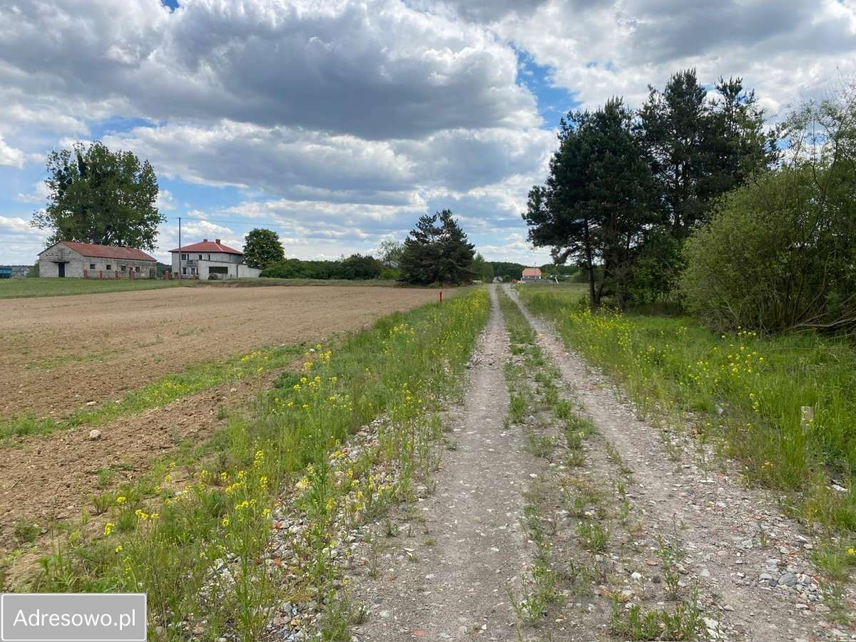 Działka budowlana Młyniec Drugi. Zdjęcie 12