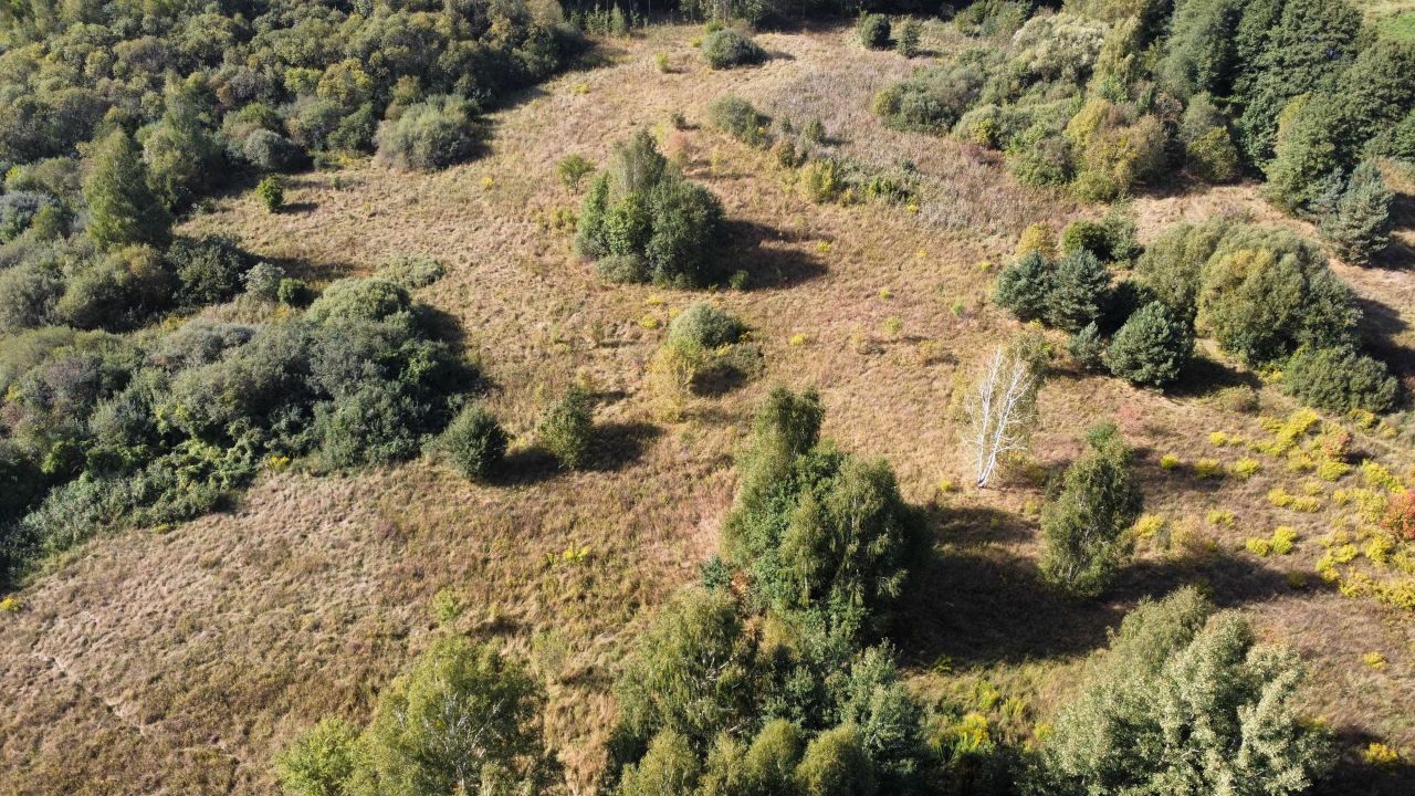 Działka rolna Wasilków, ul. Nadawki. Zdjęcie 3