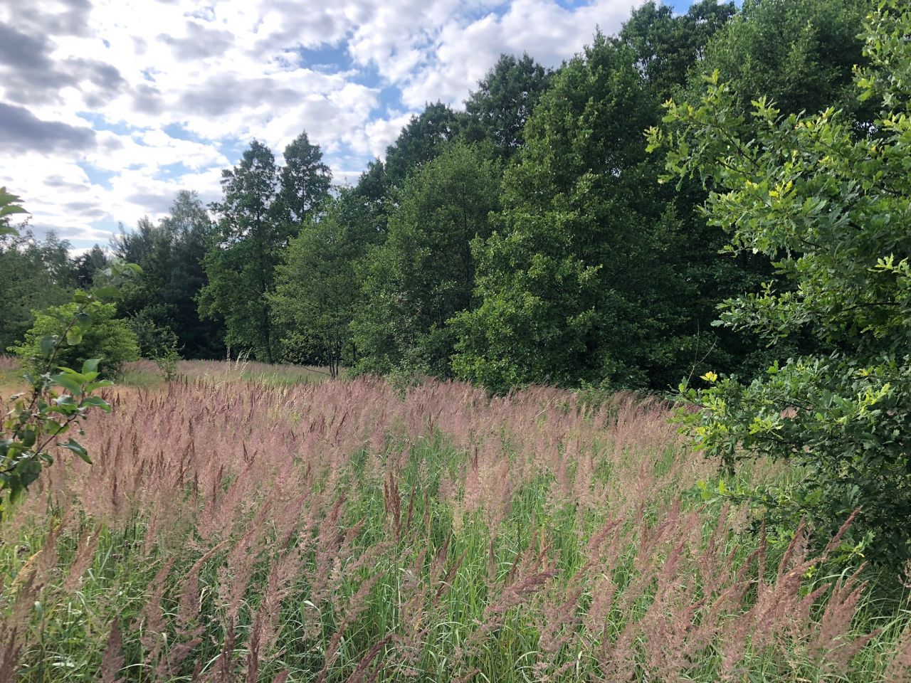 Działka budowlana Regulice, ul. Sportowców. Zdjęcie 11