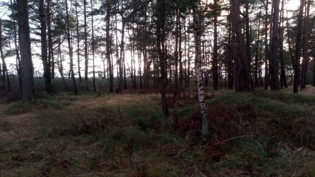 Działka budowlana Dziwnów. Zdjęcie 1