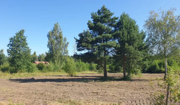Działka budowlana Tomaszew