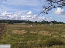 Działka budowlana Smołdziński Las. Zdjęcie 1