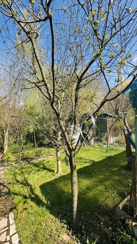 Działka rod Gostynin Rataje, ul. Kowalska. Zdjęcie 3