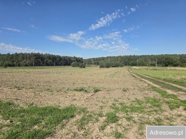 Działka inwestycyjna Wschowa, ul. Irlandzka. Zdjęcie 1