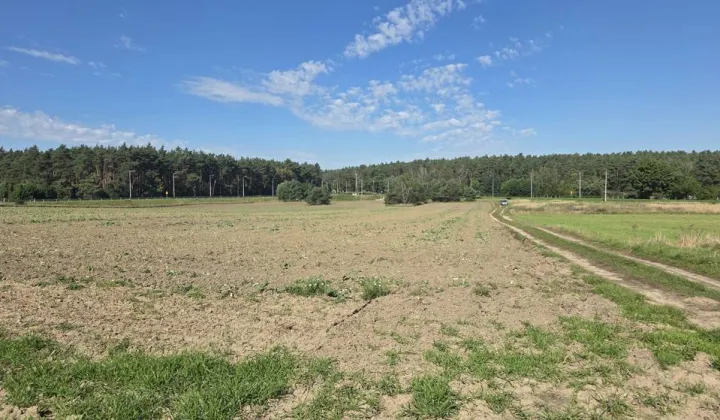 Działka inwestycyjna Wschowa, ul. Irlandzka