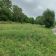 Działka budowlana Zygmuntowo. Zdjęcie 4