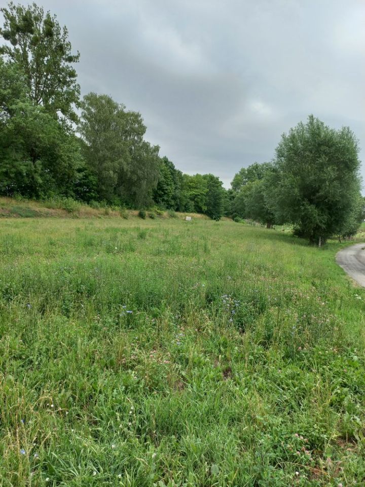 Działka budowlana Zygmuntowo. Zdjęcie 4