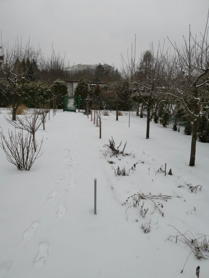 Działka rod Bydgoszcz Osiedle Leśne, Sulkowskiego. Zdjęcie 4