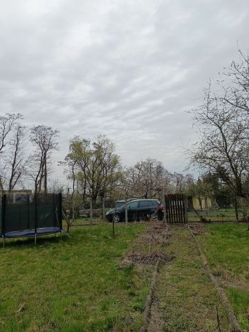 Działka rod Leszno. Zdjęcie 1