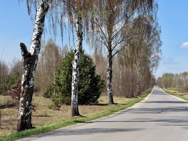 Działka budowlana Kuflew. Zdjęcie 5