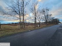 Działka budowlana Izabelin-Dziekanówek. Zdjęcie 3