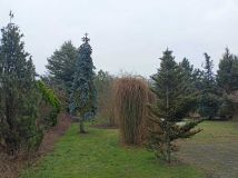 dom wolnostojący, 6 pokoi Słupca, ul. Koszucka. Zdjęcie 3