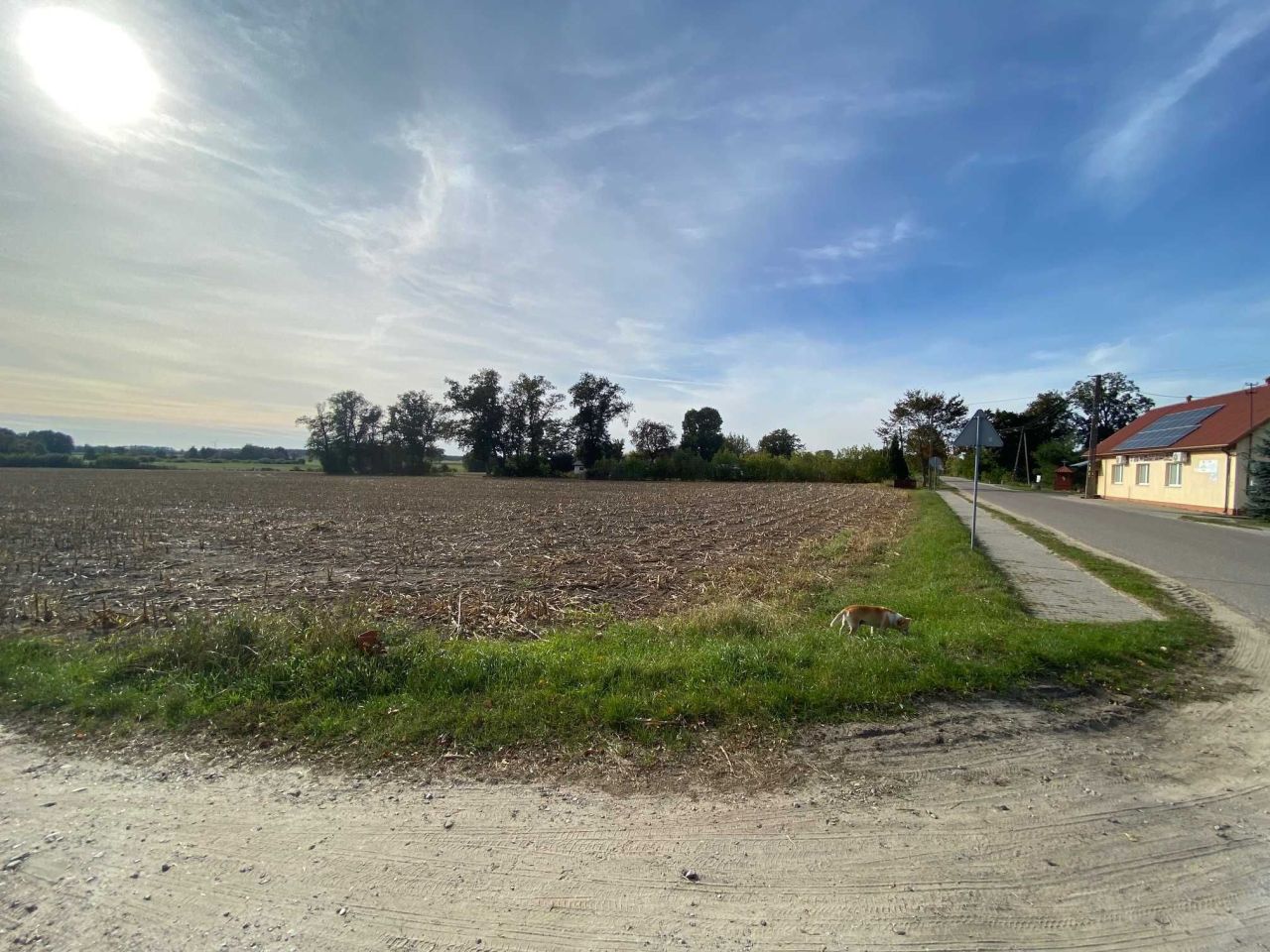 Działka budowlana Krajkowo. Zdjęcie 3