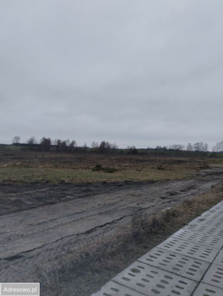 Działka budowlana Wysin. Zdjęcie 7