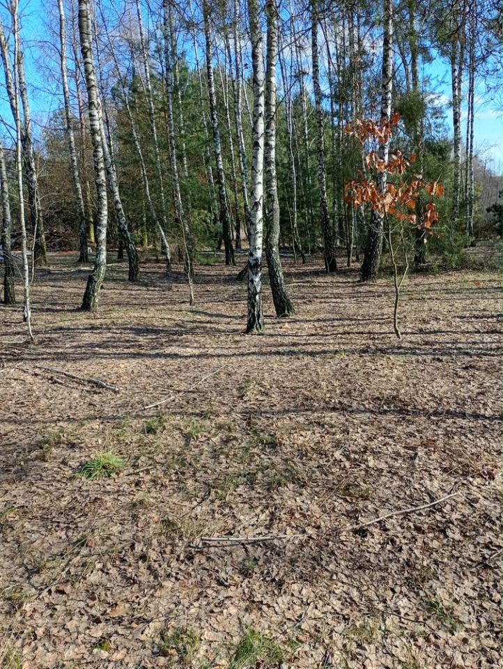 Działka rolno-budowlana Święte Nowaki. Zdjęcie 4