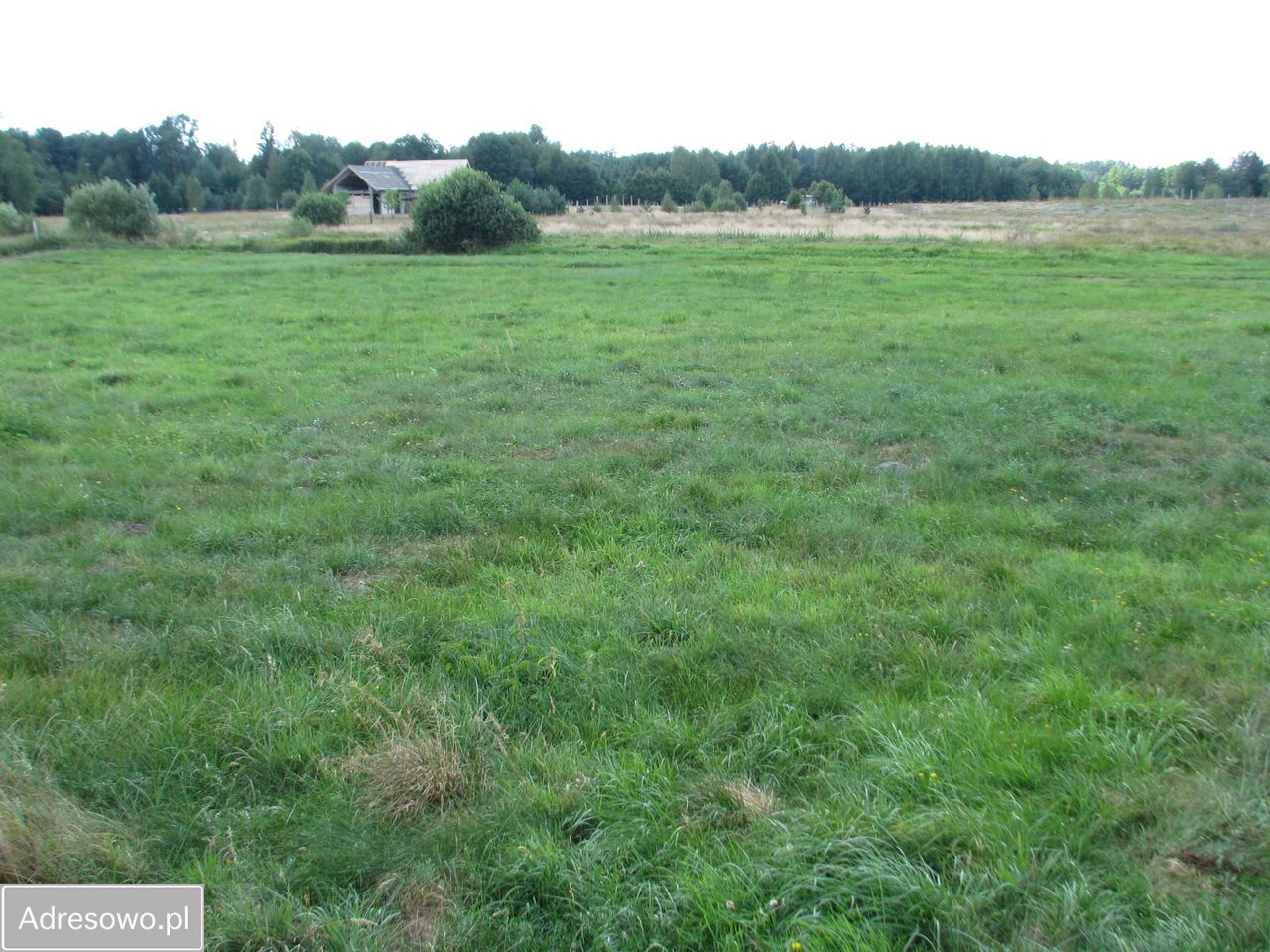 Działka siedliskowa Strękowizna. Zdjęcie 9