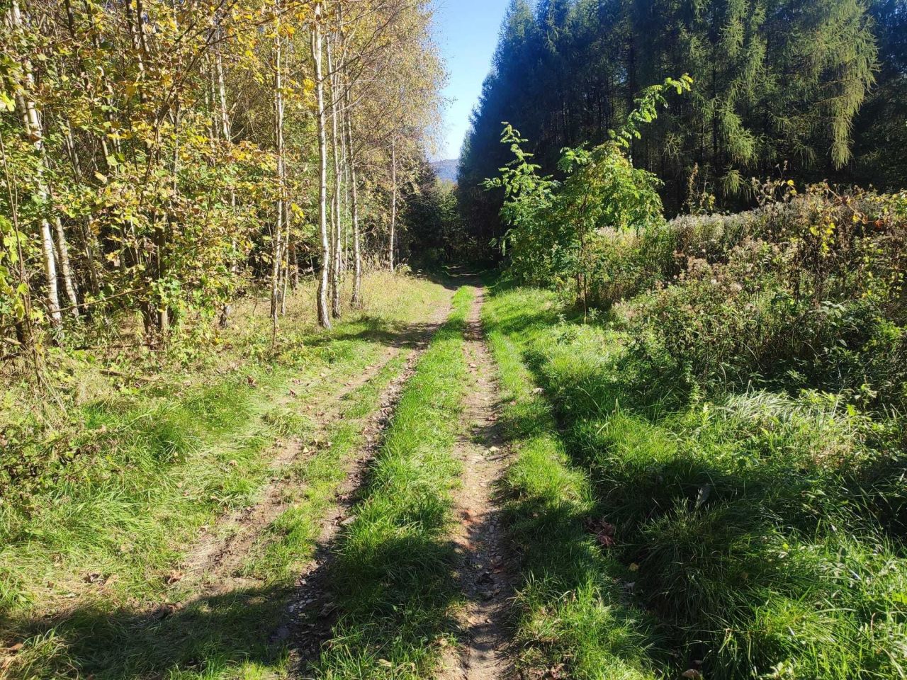 Działka rekreacyjna Drohobyczka. Zdjęcie 2