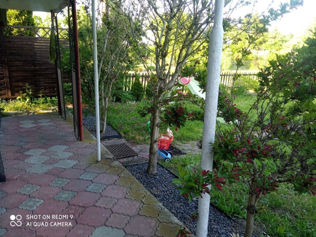 Działka rod Ostrów Wielkopolski, ul. Kaliska. Zdjęcie 6