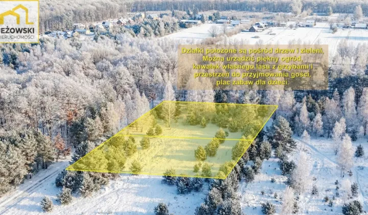 Działka budowlana Kolonia Góra Puławska