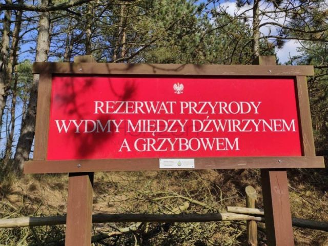 Działka rolna Grzybowo. Zdjęcie 8