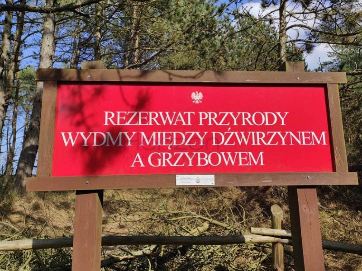 Działka rolna Grzybowo. Zdjęcie 8