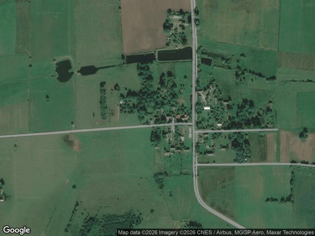 Działka siedliskowa Mieleszki-Kolonia. Zdjęcie 1