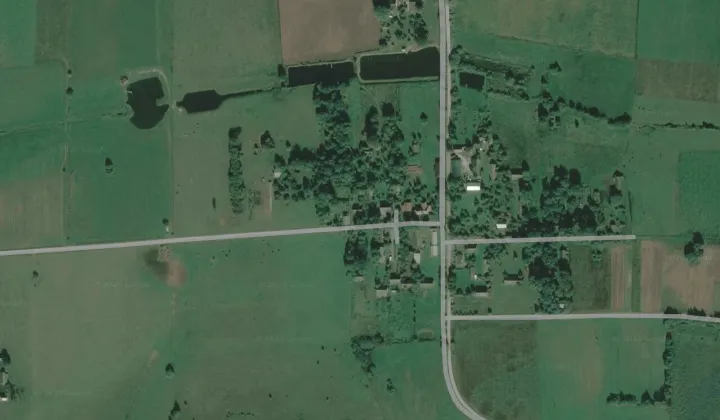 Działka siedliskowa Mieleszki-Kolonia