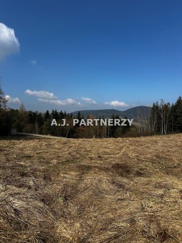 Działka rolna Berest. Zdjęcie 2