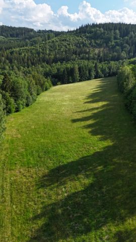 Działka budowlana Szarocin. Zdjęcie 1