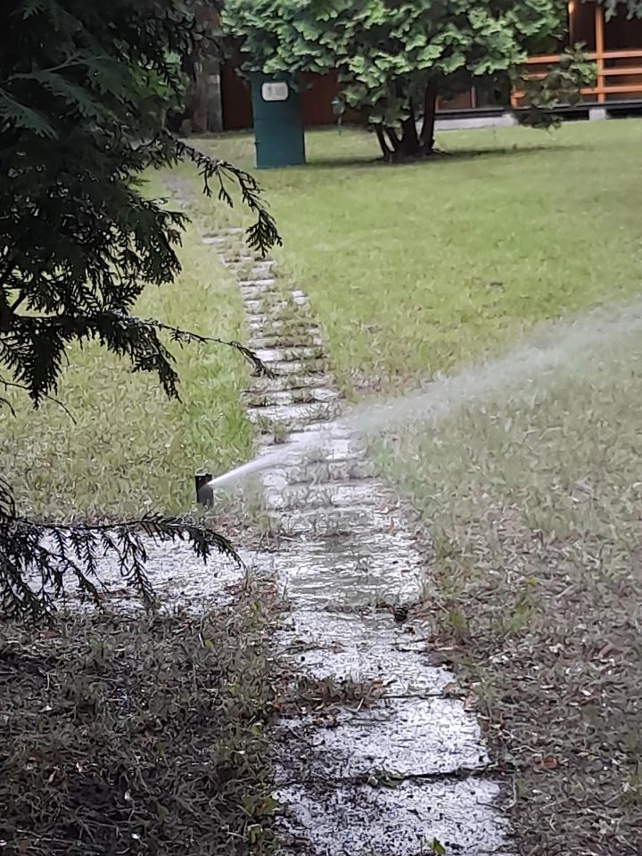 Działka rekreacyjna Dzbądz, ul. Jesionowa. Zdjęcie 39
